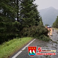 T-Unwetter 1, Baum auf Straße