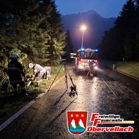 T-Unwetter 1, Baum auf Straße